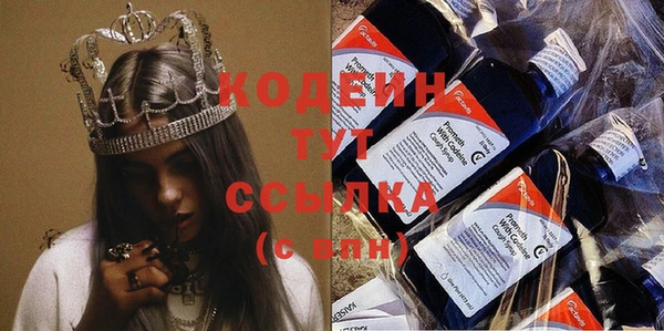 гидра Богородицк