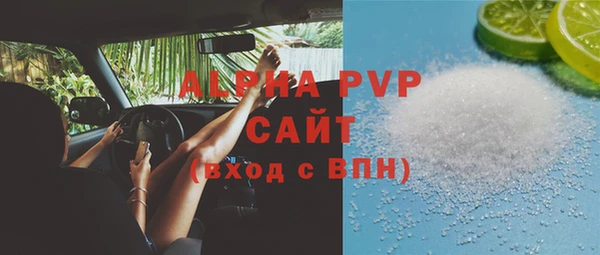 сатива Бородино