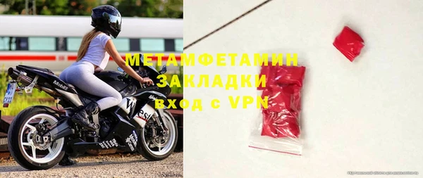 сатива Бородино