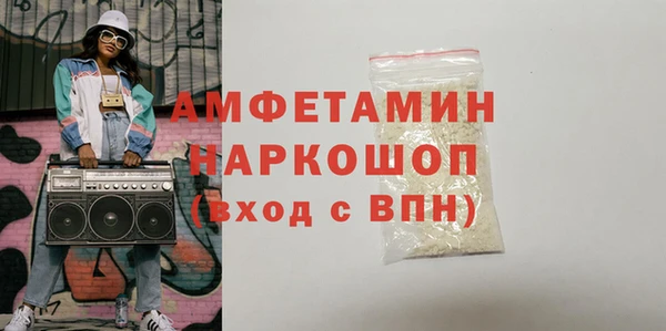 сатива Бородино