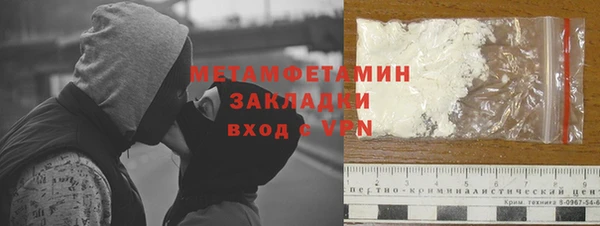 гидра Богородицк