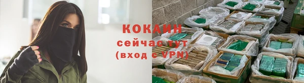 кокаин Богданович