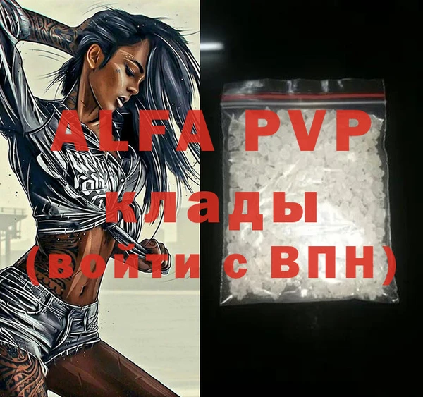 сатива Бородино