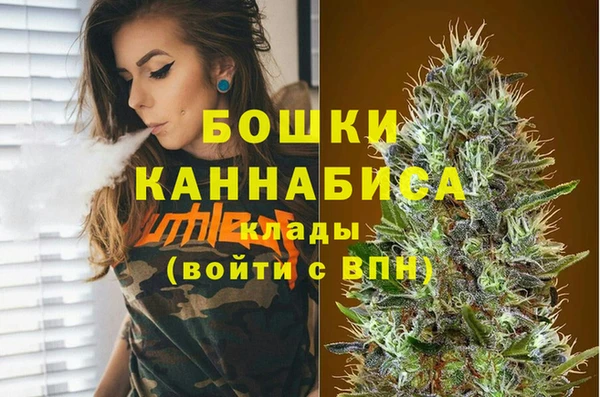 мдпв Бронницы