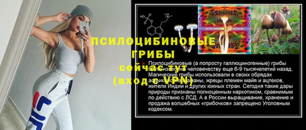 герыч Богородск