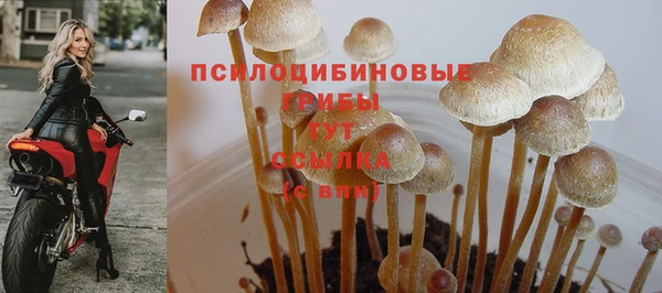 кокаин Богданович