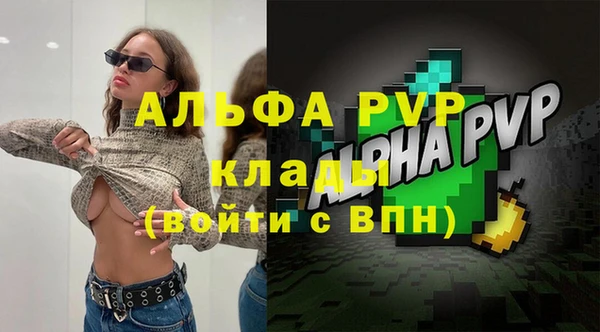 гидра Богородицк